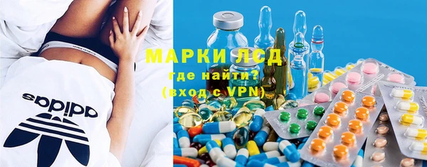 индика Алзамай
