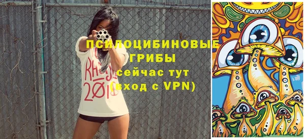 индика Алзамай